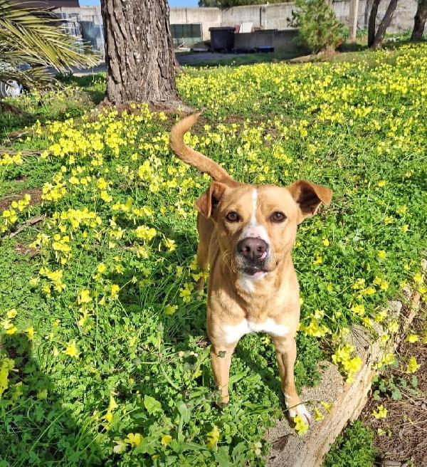 🤍💚 Spillo Cerca Casa 💚🤍